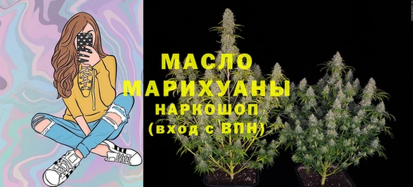 хмурый Инта