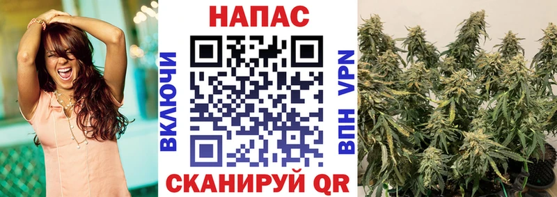 Купить где  Иланский  Шишки марихуана гибрид 